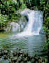 Waterfalls in Selangor